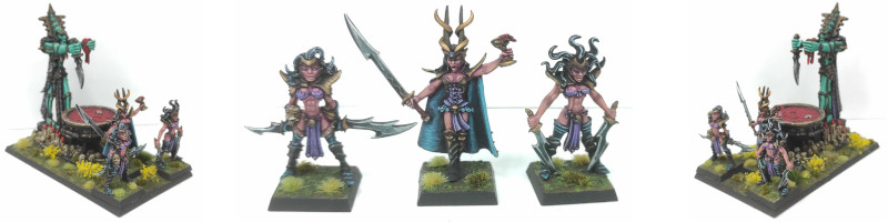 Chaudron de Sang Elfes Noirs